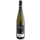 Grüner Veltliner 2023 Wechselberg (0,75 l)