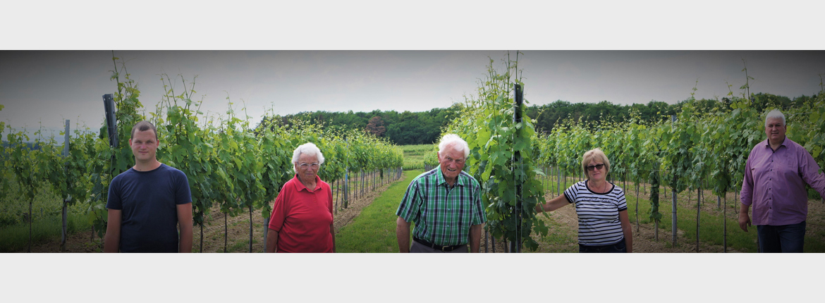 Virtuelle Tour durchs Weingut Patzl